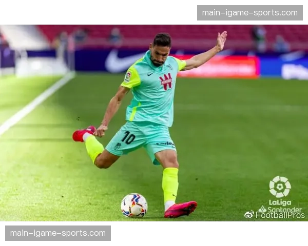 为应对极端天气,西甲要求各俱乐部检查并更新场地排水与保护系统 为应对极端天气,西甲要求各俱乐部检查并更新场地排水与保护系统